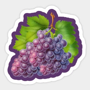 Fruit basket halloween group costume Sticker